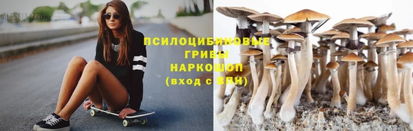 СК Медногорск