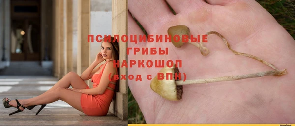 прущая мука Медвежьегорск