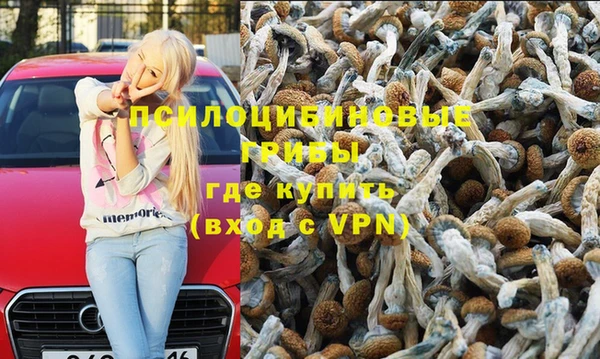 СК Медногорск