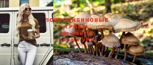 СК Медногорск