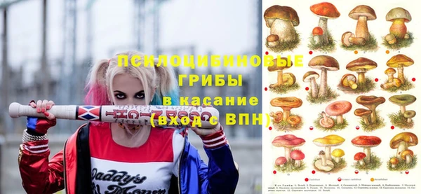 прущая мука Медвежьегорск