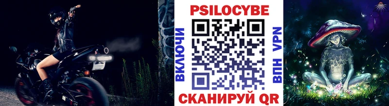 Купить Орёл Псилоцибиновые грибы мицелий